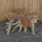 morepic-5